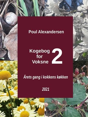 cover image of Kogebog for voksne 2
